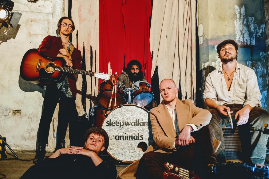 Sleep Walking Animals - Aengus' Fool