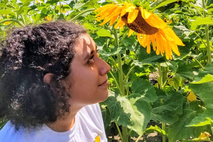 Sunflower Summit - Metronome Heart